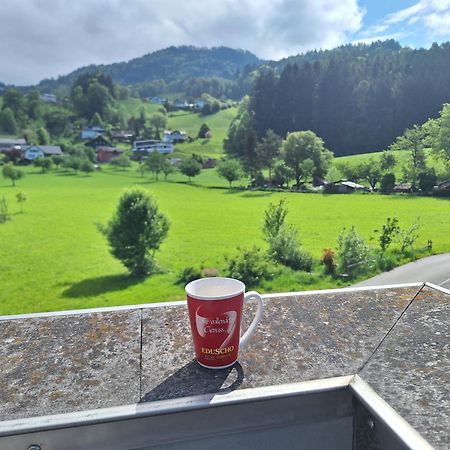 Wohnung Rheintal Im Alpenvorland Batschuns Zewnętrze zdjęcie