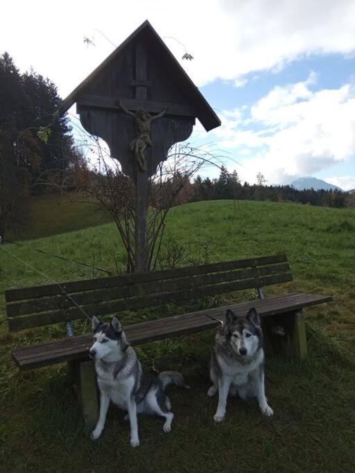 Wohnung Rheintal Im Alpenvorland Batschuns Zewnętrze zdjęcie