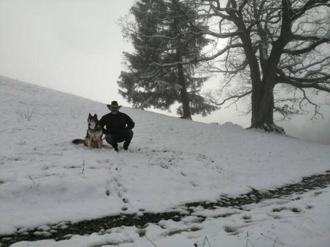 Wohnung Rheintal Im Alpenvorland Batschuns Zewnętrze zdjęcie