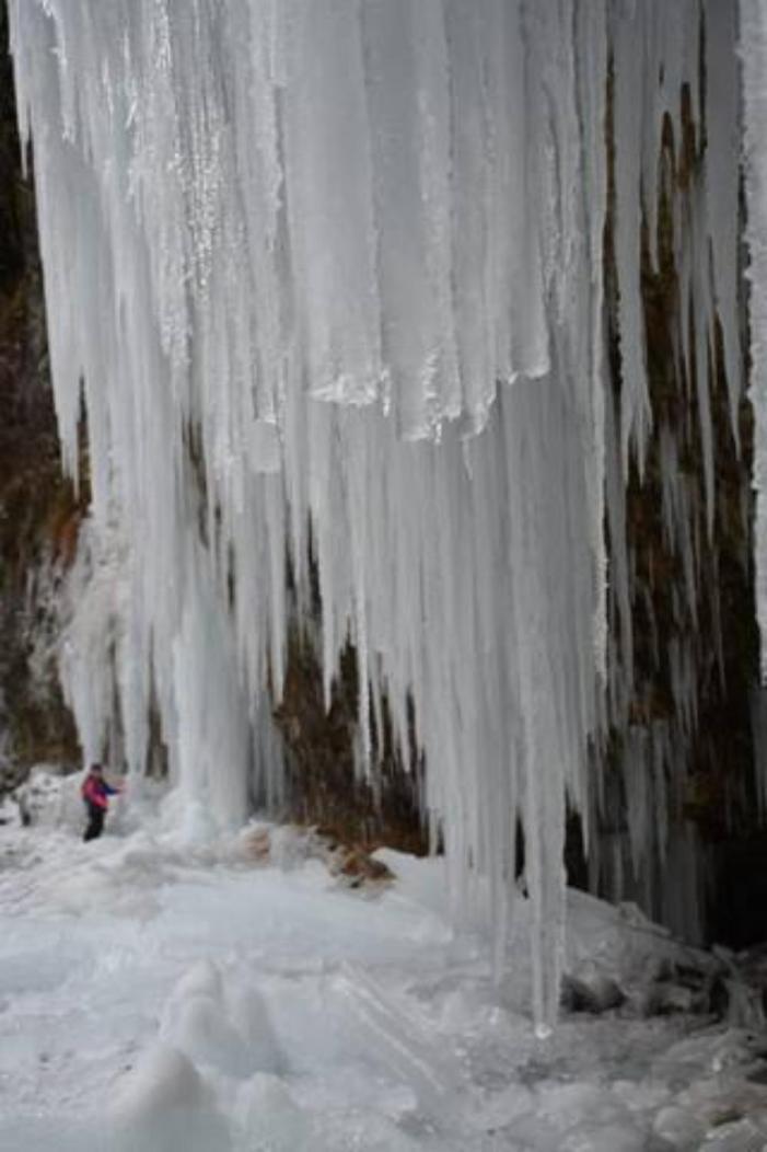 Wohnung Rheintal Im Alpenvorland Batschuns Zewnętrze zdjęcie