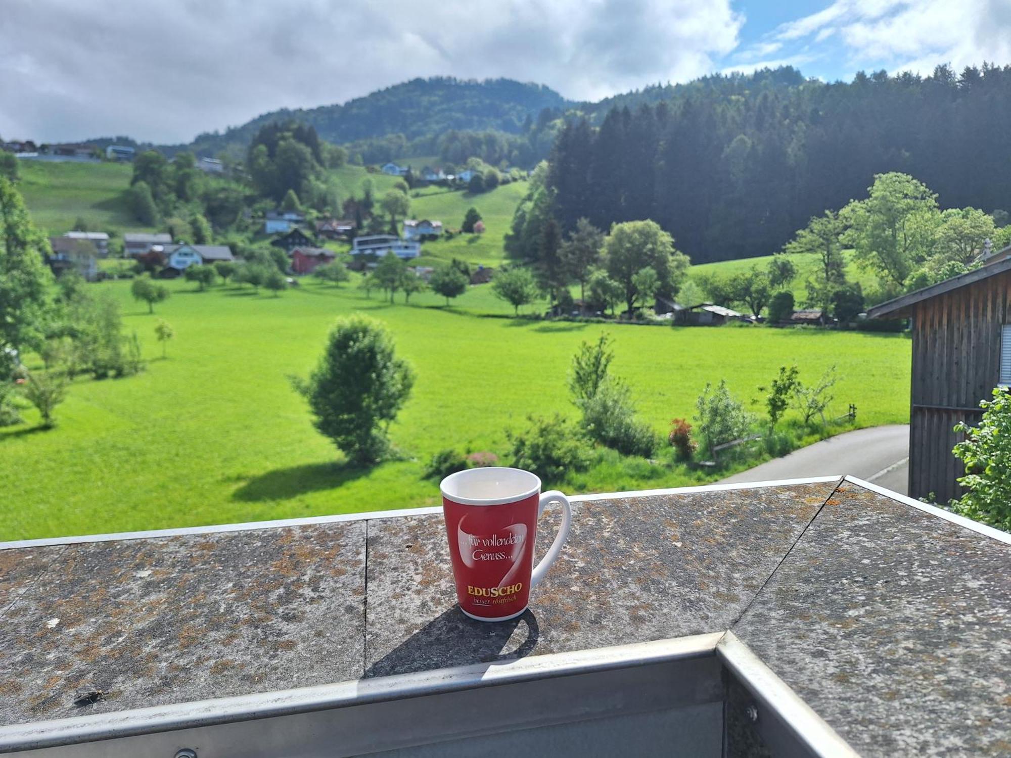 Wohnung Rheintal Im Alpenvorland Batschuns Zewnętrze zdjęcie