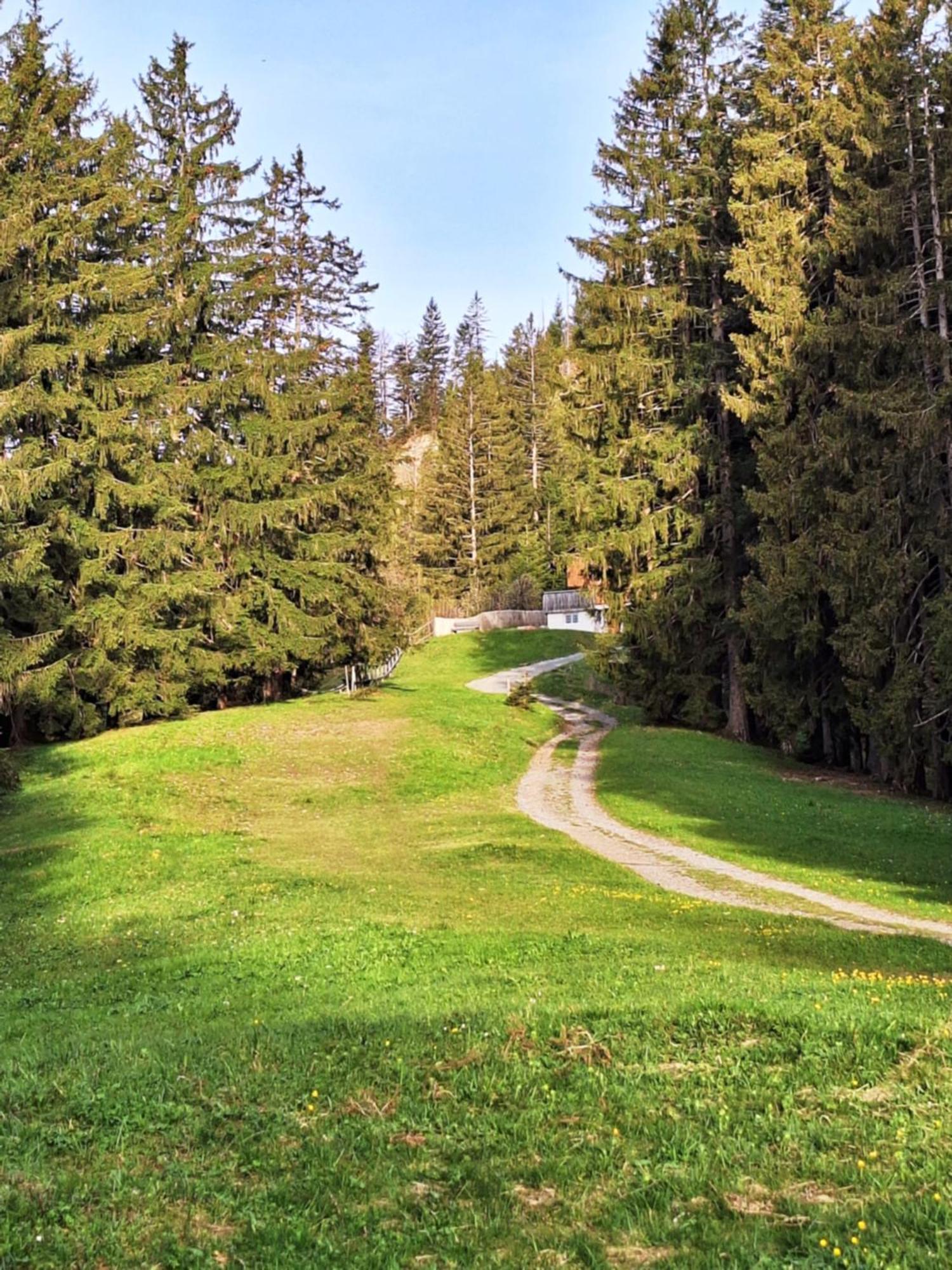 Wohnung Rheintal Im Alpenvorland Batschuns Zewnętrze zdjęcie