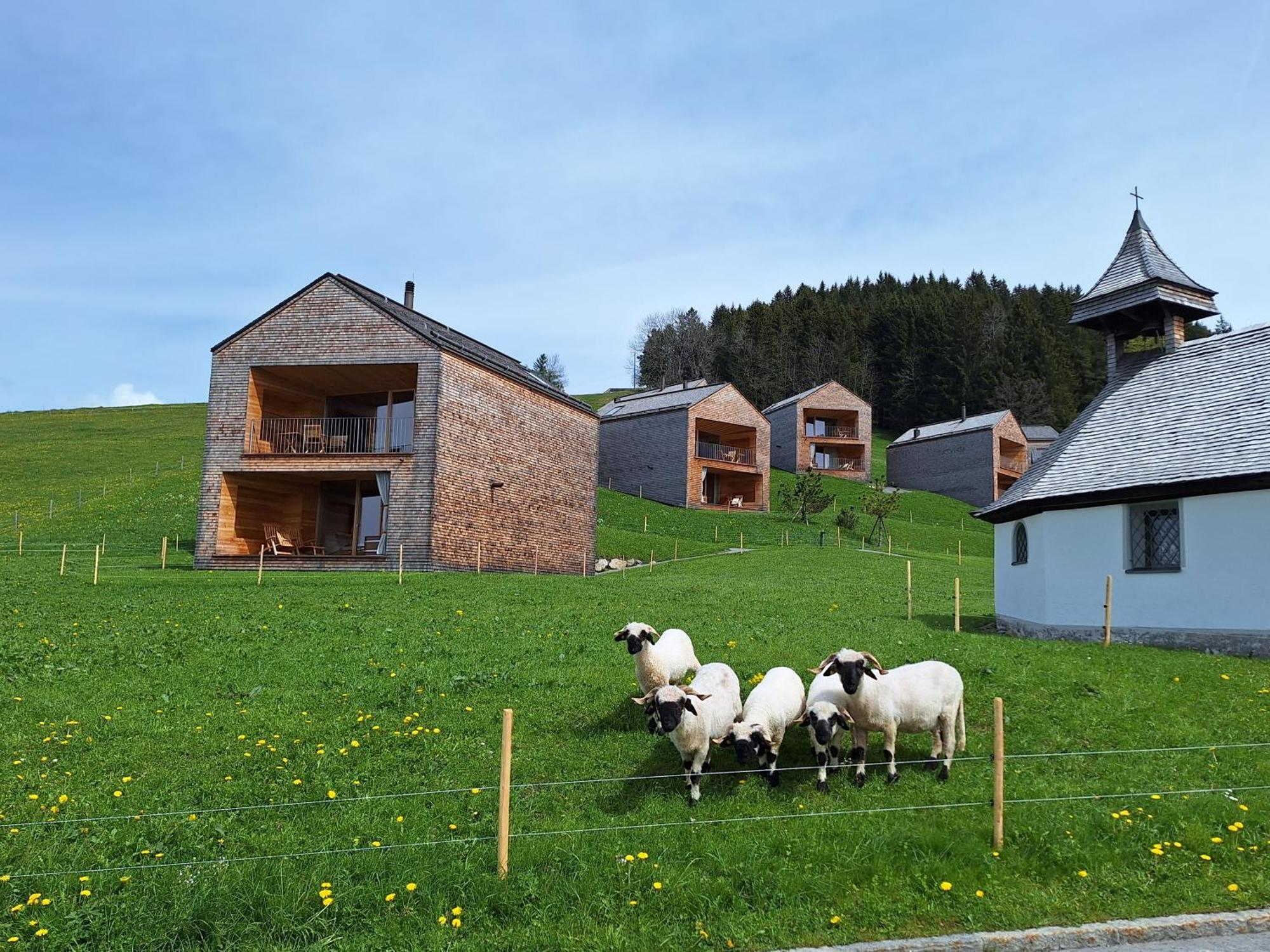 Wohnung Rheintal Im Alpenvorland Batschuns Zewnętrze zdjęcie