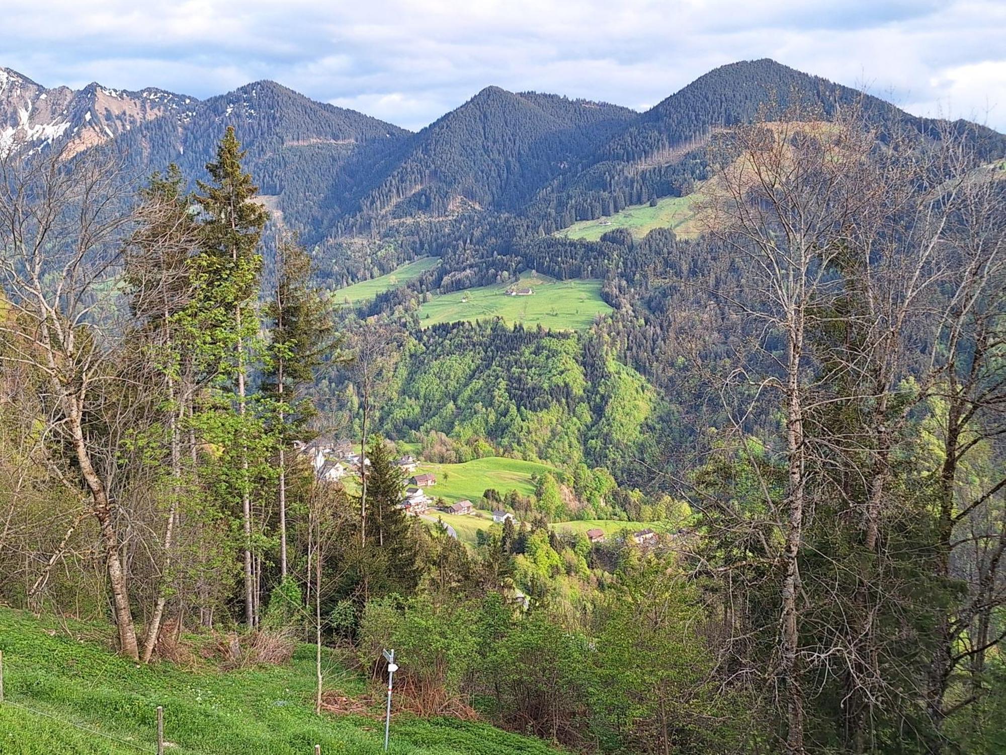 Wohnung Rheintal Im Alpenvorland Batschuns Zewnętrze zdjęcie