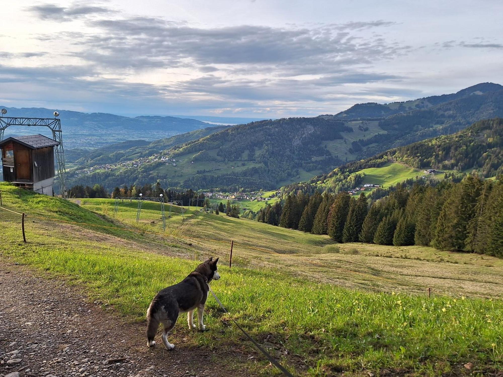 Wohnung Rheintal Im Alpenvorland Batschuns Zewnętrze zdjęcie